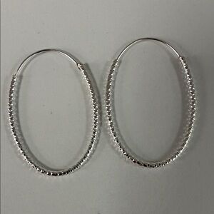 Elegant Silver Hoop Earrings